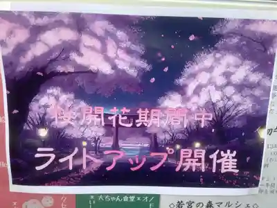 若宮八幡社(愛知県)