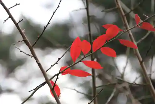 開成山大神宮の庭園