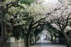 時宗総本山 遊行寺（正式：清浄光寺）(神奈川県)