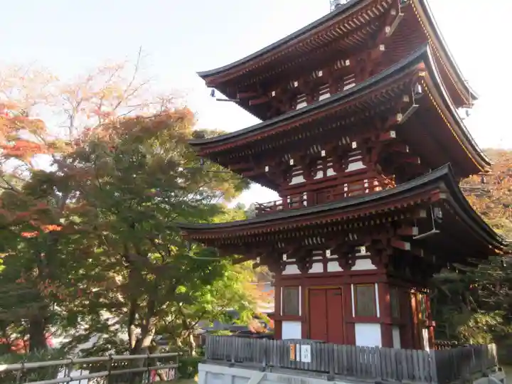 岡寺(龍蓋寺)(奈良県)