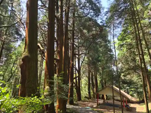 槵觸神社(宮崎県)