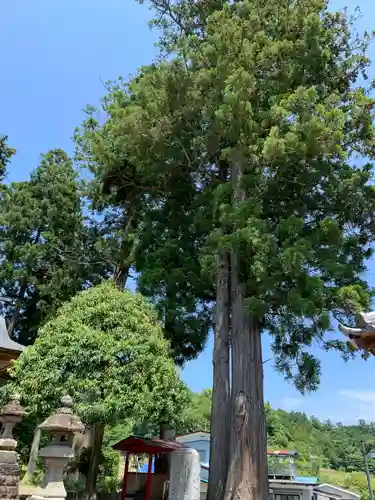 菅生神社(宮城県)