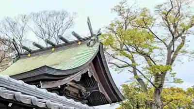 菊田神社の本殿・本堂