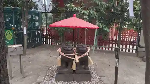 浅草神社の狛犬