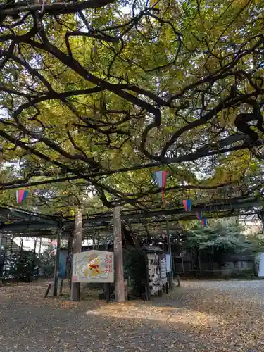 國領神社(東京都)