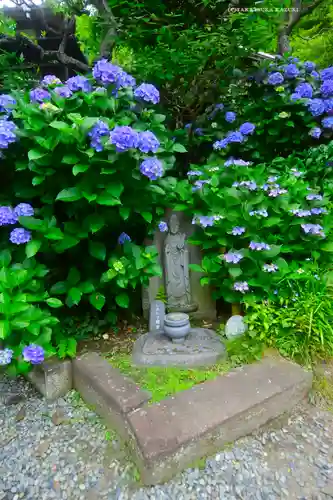 佛日庵(神奈川県)