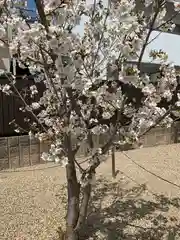 墨染寺（桜寺）の自然