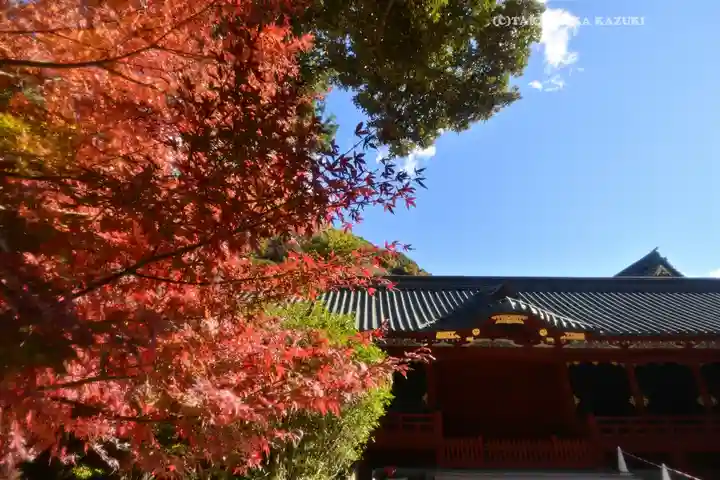 鶴岡八幡宮の自然