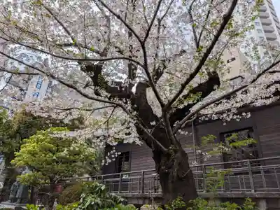 乃木神社(東京都)
