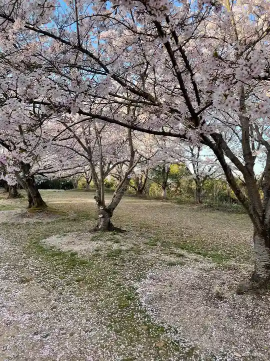 貴船神社の自然