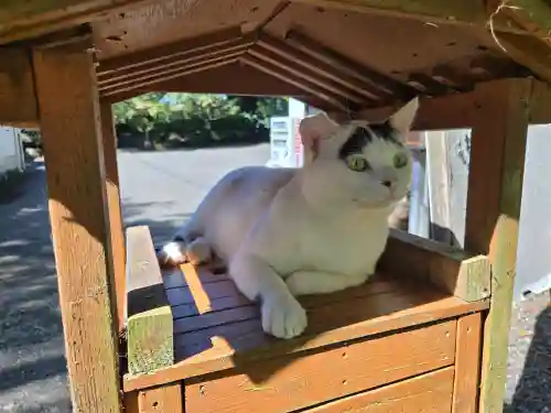唐澤山神社(栃木県)
