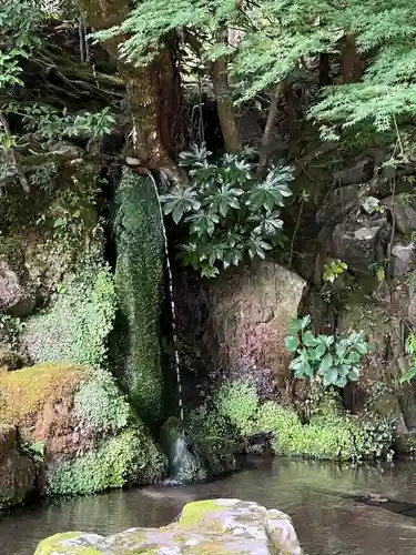 慈照寺（慈照禅寺・銀閣寺）の庭園