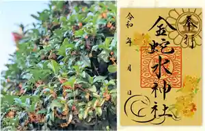 金蛇水神社の御朱印 2024年09月01日(日)〜(2024年09月01日(日) 06時58分20秒投稿)