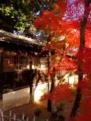 本土寺の自然