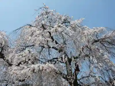 勝専寺(滋賀県)