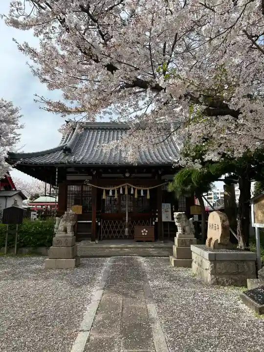 櫻井神社の{uncategorized: "未分類", other: "その他", undefined: "問題あり", building: "その他建物", grave: "お墓", sacred_gate: "鳥居", guardian: "狛犬", statue: "像", buddha: "仏像", history: "歴史", nature: "自然", garden: "庭園", animal: "動物", pagoda: "塔", temizu: "手水舎", mountain_gate: "山門・神門", sanctuary: "本殿・本堂", subordinate: "末社・摂社", art: "芸術", scenery: "景色", jizo: "地蔵", ema: "絵馬", goshuin: "御朱印", omikuji: "おみくじ", items: "授与品その他", amulet: "お守り", goshuincho: "御朱印帳", eats: "食事", festival: "お祭り", votive_dance: "神楽", shichigosan: "七五三参", wedding: "結婚式", experience: "体験その他", initially: "初詣", around: "周辺", anti_infection: "感染症対策"}