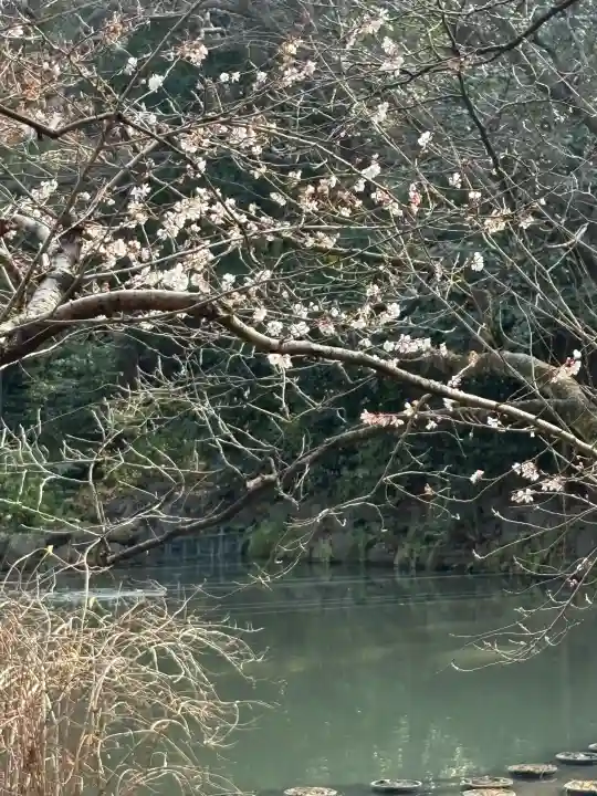 熱田神宮の{uncategorized: "未分類", other: "その他", undefined: "問題あり", building: "その他建物", grave: "お墓", sacred_gate: "鳥居", guardian: "狛犬", statue: "像", buddha: "仏像", history: "歴史", nature: "自然", garden: "庭園", animal: "動物", pagoda: "塔", temizu: "手水舎", mountain_gate: "山門・神門", sanctuary: "本殿・本堂", subordinate: "末社・摂社", art: "芸術", scenery: "景色", jizo: "地蔵", ema: "絵馬", goshuin: "御朱印", omikuji: "おみくじ", items: "授与品その他", amulet: "お守り", goshuincho: "御朱印帳", eats: "食事", festival: "お祭り", votive_dance: "神楽", shichigosan: "七五三参", wedding: "結婚式", experience: "体験その他", initially: "初詣", around: "周辺", anti_infection: "感染症対策"}