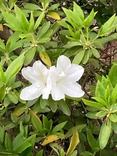 青葉神社の自然
