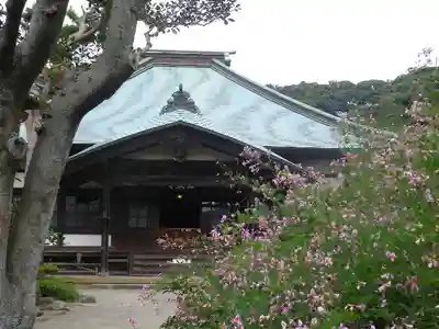 海蔵寺の本殿・本堂
