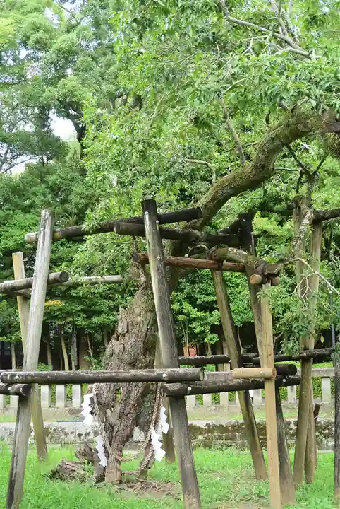 三嶋大社(静岡県)