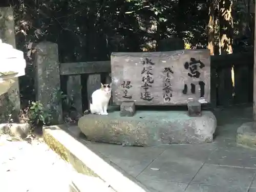 大水上神社の動物
