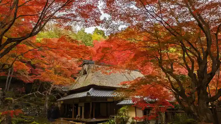教林坊(滋賀県)