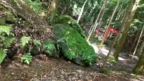 出雲大神宮(京都府)