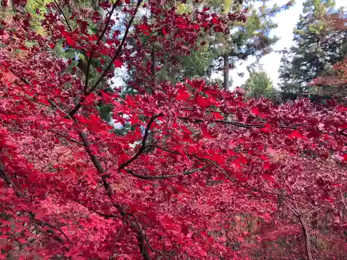 武蔵御嶽神社(東京都)