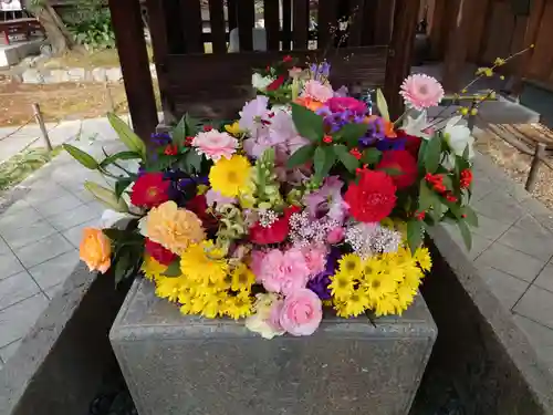 勝林寺(京都府)