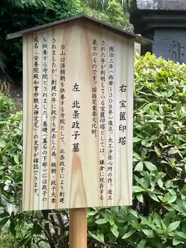 安養院　(田代寺）の{uncategorized: "未分類", other: "その他", undefined: "問題あり", building: "その他建物", grave: "お墓", sacred_gate: "鳥居", guardian: "狛犬", statue: "像", buddha: "仏像", history: "歴史", nature: "自然", garden: "庭園", animal: "動物", pagoda: "塔", temizu: "手水舎", mountain_gate: "山門・神門", sanctuary: "本殿・本堂", subordinate: "末社・摂社", art: "芸術", scenery: "景色", jizo: "地蔵", ema: "絵馬", goshuin: "御朱印", omikuji: "おみくじ", items: "授与品その他", amulet: "お守り", goshuincho: "御朱印帳", eats: "食事", festival: "お祭り", votive_dance: "神楽", shichigosan: "七五三参", wedding: "結婚式", experience: "体験その他", initially: "初詣", around: "周辺", anti_infection: "感染症対策"}