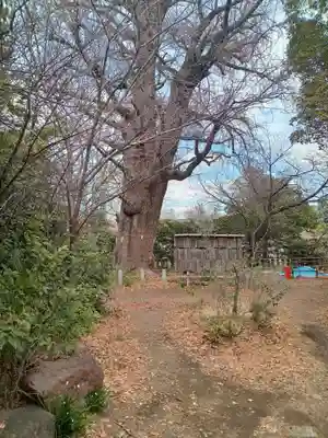 芝東照宮(東京都)