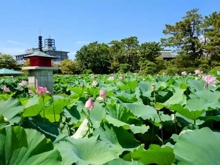 白山神社(新潟県)