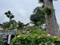 白山神社のその他建物