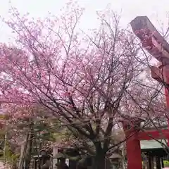 彌彦神社　(伊夜日子神社)(北海道)