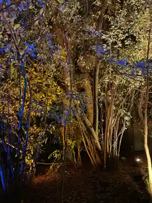 平安神宮(京都府)