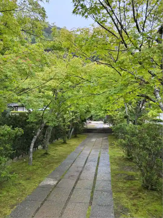 永興寺(山口県)