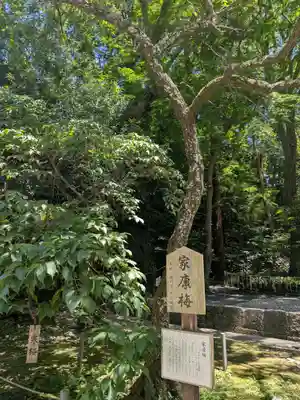 久能山東照宮(静岡県)