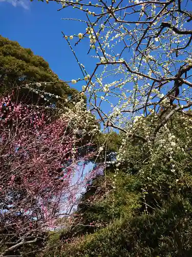 龍尾神社の自然
