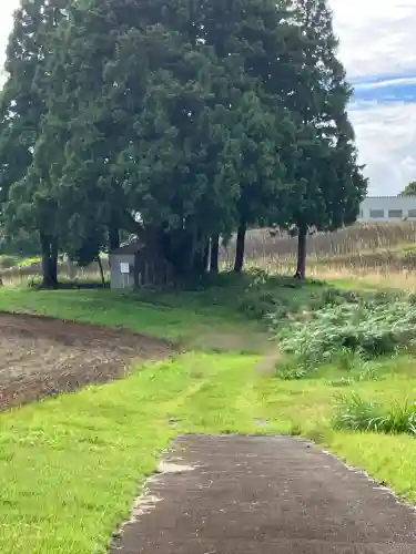 沢山神社（澤山神社)(新潟県)