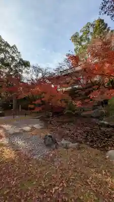 長岡天満宮(京都府)