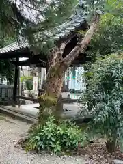 手力雄神社(岐阜県)