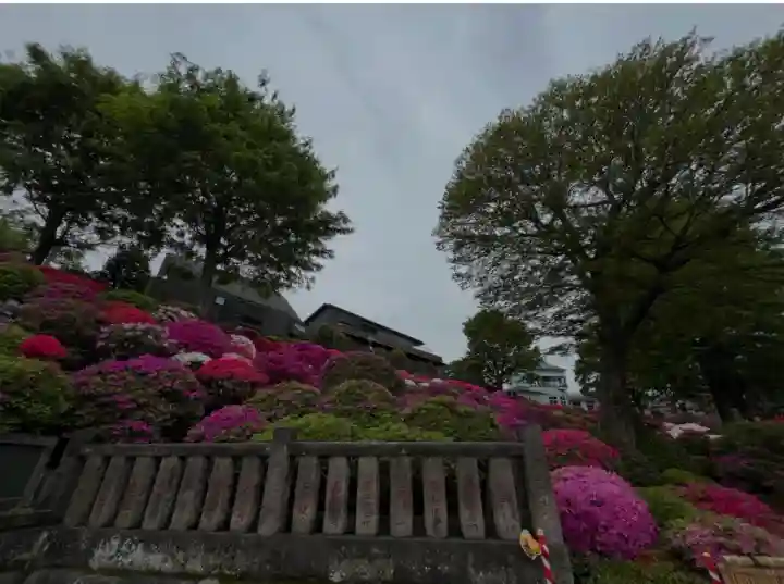 根津神社(東京都)
