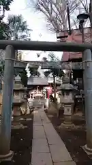 高円寺氷川神社の鳥居