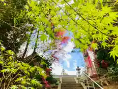 滑川神社 - 仕事と子どもの守り神の自然