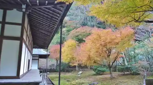 高徳庵　(最勝院）の庭園