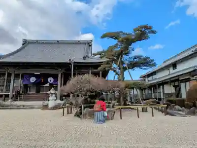 蓮行寺の手水舎