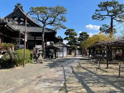 葛井寺(大阪府)