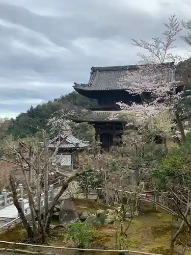 行基寺(岐阜県)