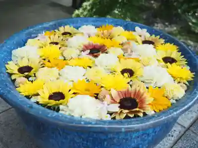 行田八幡神社(埼玉県)