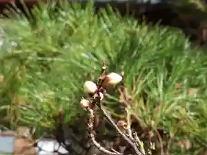 刺田比古神社(和歌山県)(2026年02月04日(水) 08時46分14秒投稿)